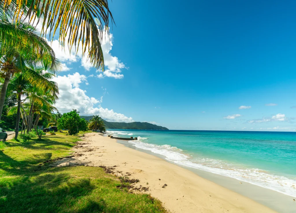 The 5 Best Things to Do in Jamaica (2025)